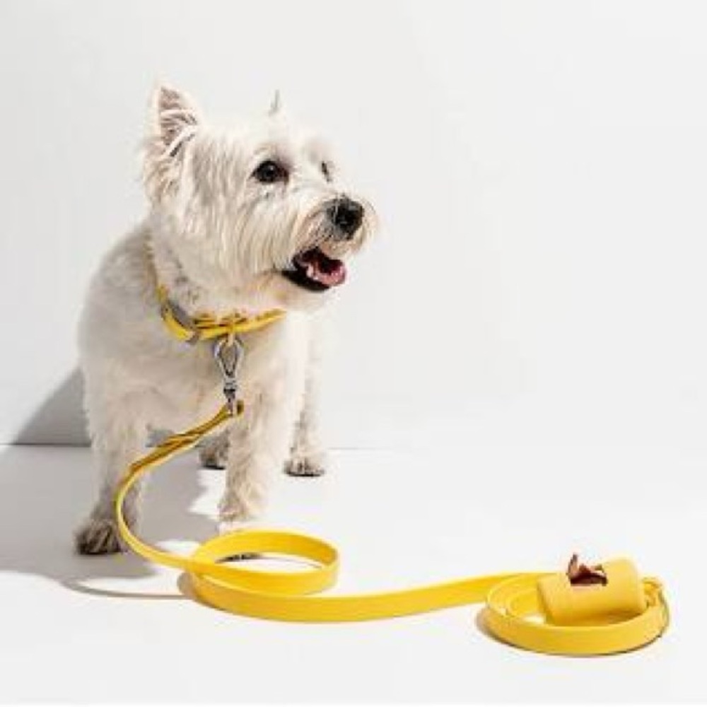 Wild One Dog Leash & Collar set (S)